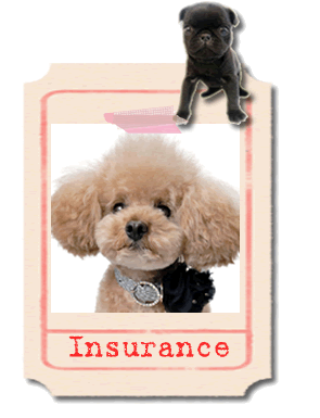 ペット保険（アニコム損害保険株式会社のご案内です