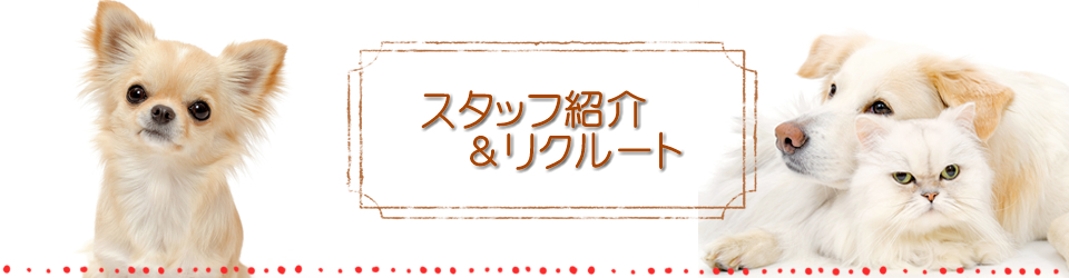 ペットショップワンニャンホンポのスタッフ画像